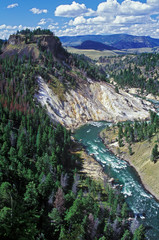 Fototapeta na wymiar Rzeka Yellowstone