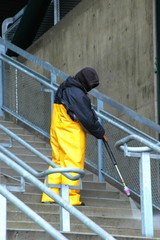 steam cleaning