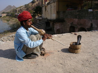 snake charmer