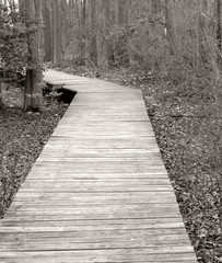 Obraz premium boardwalk