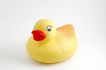 rubber duckie
