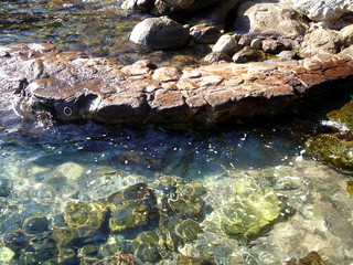 rock pool