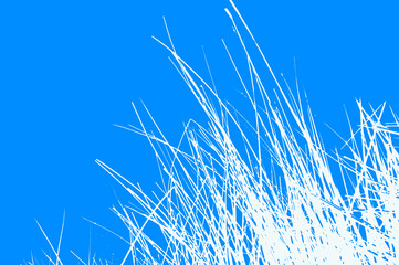 abstract organic background