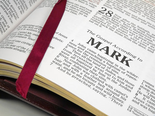 Naklejka premium bible