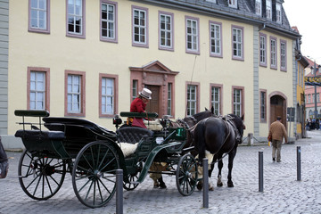 Fototapeta premium trener