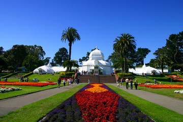 conservatory of flowers, san francisco