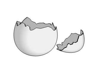 eggshell 2d