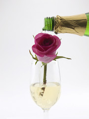 champagne rose