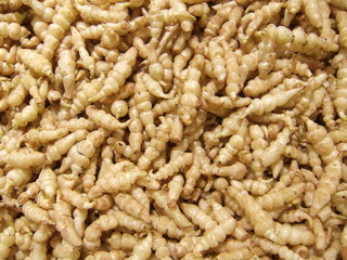 crosnes