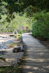 nature boardwalk