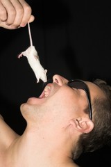 man eating mouse