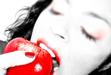 manzana 80