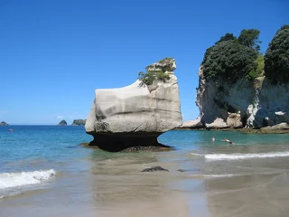 Peel and stick wall murals Cathedral Cove cathedral cove