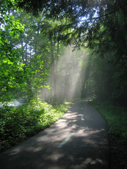 sunlight on bike path