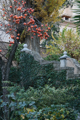 jardines de la alhambra