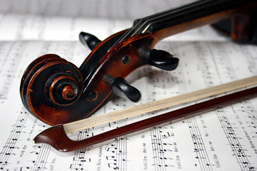 geige © creative studio