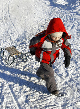 boy with sled