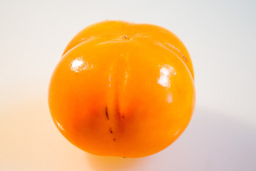 kaki