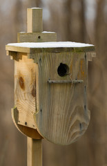 first snow on birdhouse
