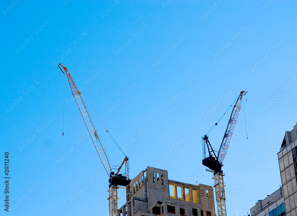 Wall mural two cranes