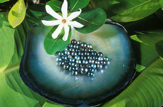 perles noires