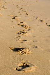 huellas en la playa