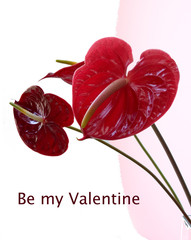 be my valentine