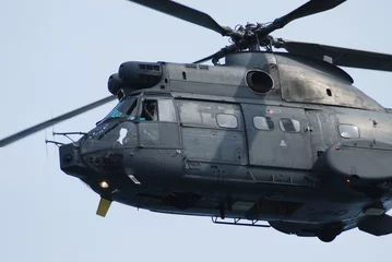 Fotobehang Poema puma  © razorconcept