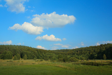 summer landscape