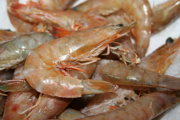 fresh shrimp