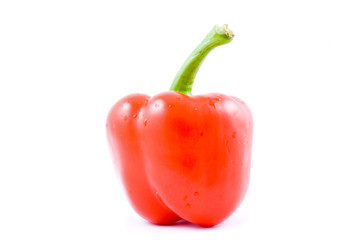 red pepper, paprika on white (isolated)