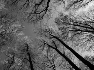 abstract world 2