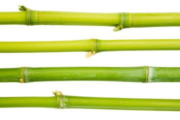 bamboo sticks
