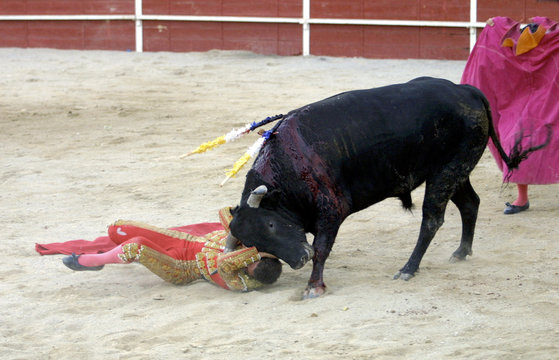 cd_toros-5