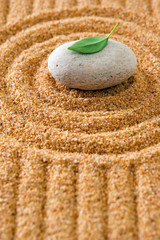 zen garden