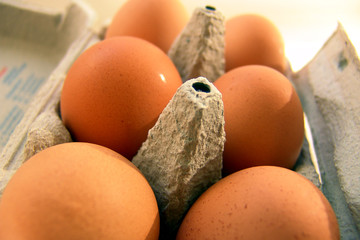 frische eier