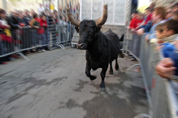 feria taureau