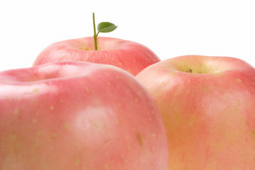 fruits, rose apple