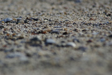 sand