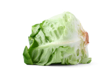 lettuce head on white