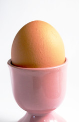 egg