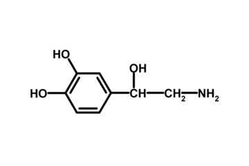 noradrenaline