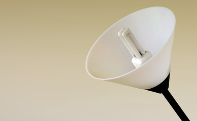 energy saving light bulb and lamp shade