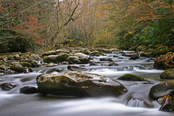 autumn stream in the great smoky mountains