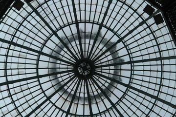 abstract glasshouse roof