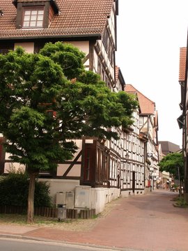 hameln 1