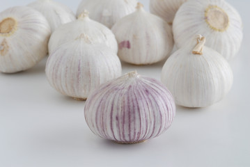 solo garlic