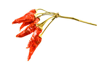 red hot chili peppers