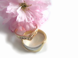 wedding rings and flower