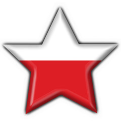 bottone stella polacco - poland button star flag